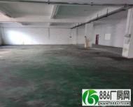清溪镇铁松刷绿色地坪漆厂房出生650平带办公室