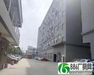出租黄江镇袁屋围一楼6.5米高，3600平方，配电大可办环评