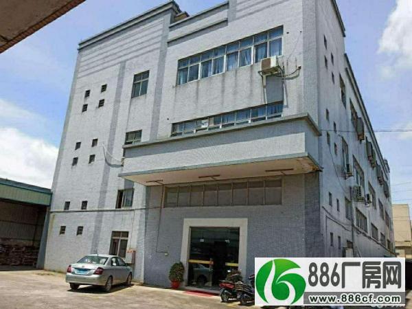 万江工业区一楼出租1200平，高度6.5米