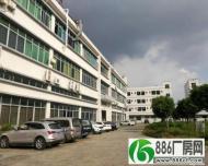 万江简沙洲标准厂房一楼1200平方出租有配套宿舍办公室