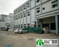 万江标准一楼1500平方厂房仓库招租工业用地，可办环评。