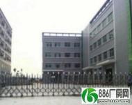 万江标准一楼厂房100-3000平米低价招租