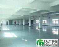 万江标准厂房一楼1700平方，地板漆车间宿舍按需现成水电