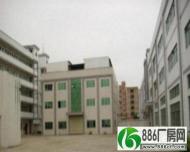 万江工业区2楼2000平米个人独院标准厂房招租