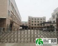 金凤凰村成熟工业区新出楼上1800平豪华装修可分租