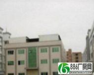 万江工业区2楼2000平米个人独院标准厂房招租