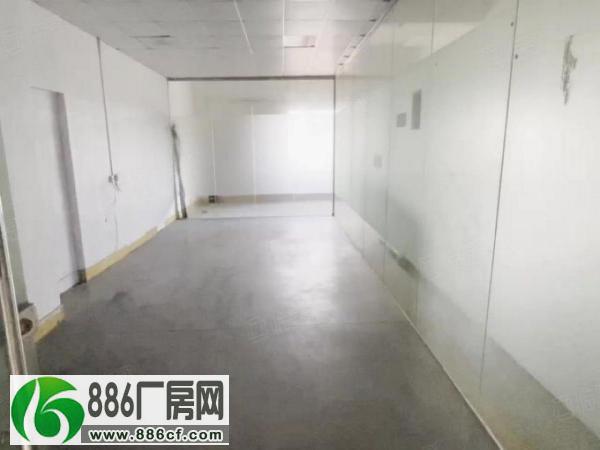 
万江新村三楼600平方标准厂房出租有现成办公室水电齐全

