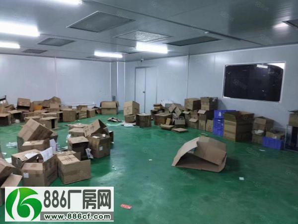
黄江北岸厂房出租700平方带现成装修办公室无尘车间400平方

