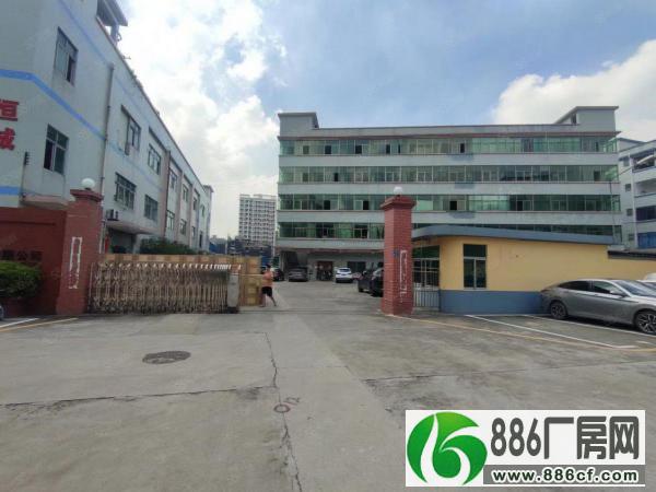 万江工业园区标准厂房二楼出租，850平方带精装修办公室