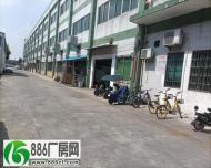 高埗镇卢溪工业区（高埗北站附近）出租标准一楼1200平方