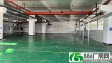 东莞企石镇独院标准厂房分租1楼1500单层面积精装修水电