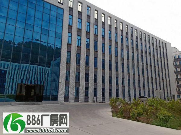 塘厦镇横塘工业区全新标准厂房一楼2600平方出租可以分租