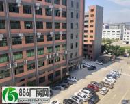 塘厦靠深圳一手房东直租3楼400平方豪华装修.