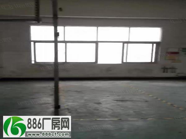 
（无公摊）虎门南部湾新出楼上精装修900平厂房低价出租

