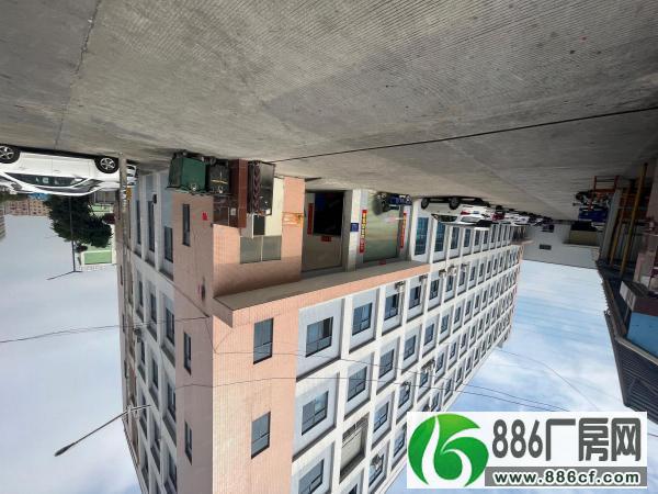 
黄江新出楼上1160平米有办公室装修。

