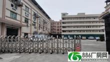 
清溪三中原房东厂房出租2楼3700平方，带环评喷淋地坪漆

