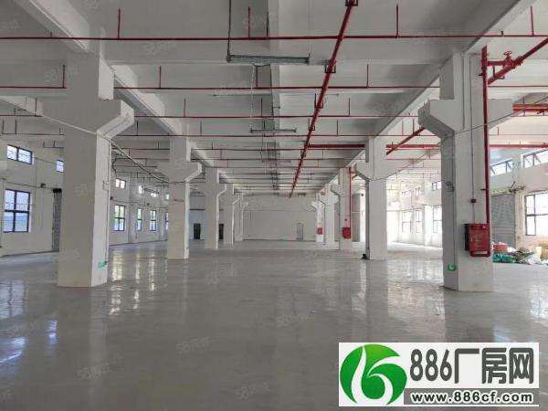 
清溪三中标准一楼6.5米高2500平带牛角空地大厂房仓库出租

