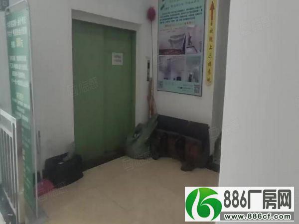 
厚街大道厂房型写字楼出租带货梯，位置靠近中心区，随时看房

