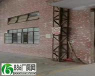 
厚街汀山单一层厂房低价出租砖墙到顶高度7米面积1600平方

