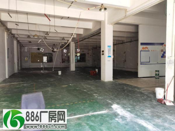 
黄江镇标准一楼220平方小型工业园厂房出租现成装修光线好

