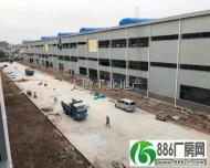 大良五沙工业区45000方轻钢厂房丙级消防全新厂房
