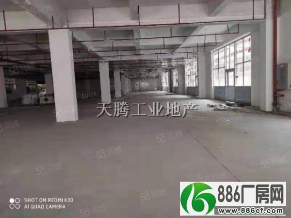 北滘林港工业区2200方标准首层带消防喷淋