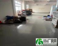 
容桂标准厂房出租2000方，精装办公室带地坪漆。

