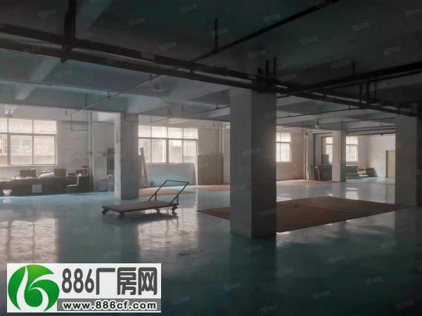 
龙江镇仙塘工业区新出标准厂房三楼1360平方米出租

