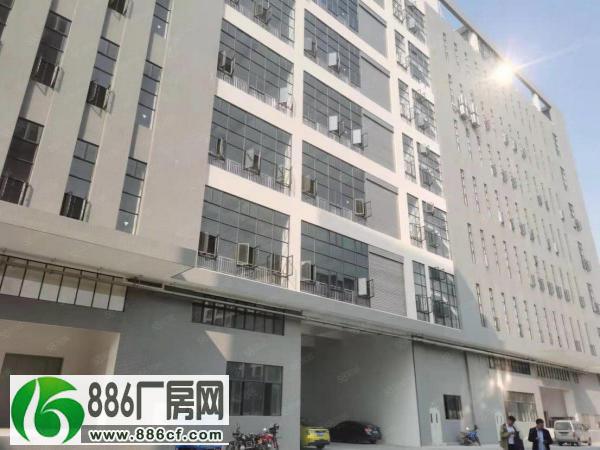 伦教霞石工业区新出楼上带现成水电办公装修厂房1015平招租