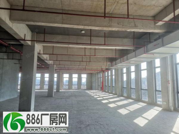 
南海桂城全新标准厂房20000平方出租，1000平方起分。

