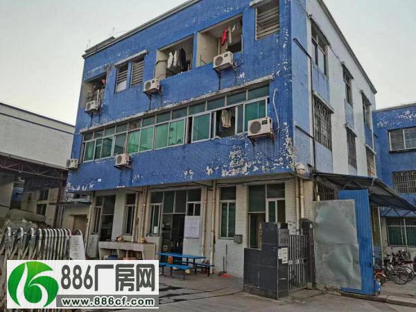 
罗村桂丹路边6000方独门独院原房东低价厂房出租

