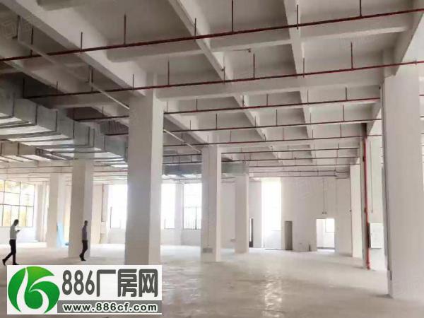 
九江沙头工业区全新厂房2000平可以分租楼上6米带喷淋原房东

