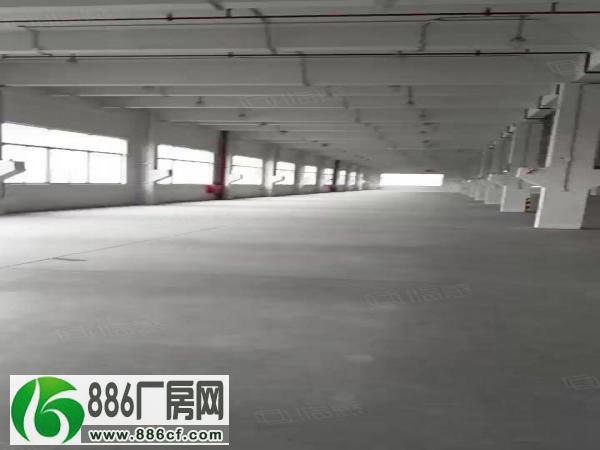 
（出租）北滘正规工业园全新标准厂房9800平方低价出租

