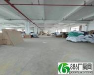 
龙江镇仙塘工业区新出标准厂房一层过1600平方米出租

