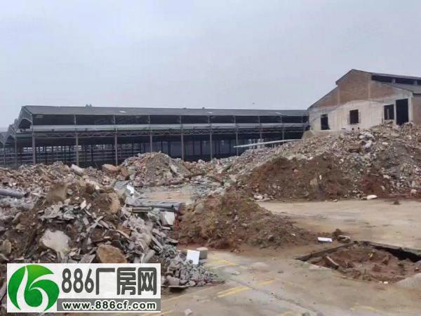 
狮山园区新建钢结构厂房，位于桂丹路段滴水12米低价厂房出租

