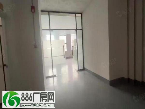 
容桂新出800方厂房出租带精装办公室地坪漆一层单户2部货梯

