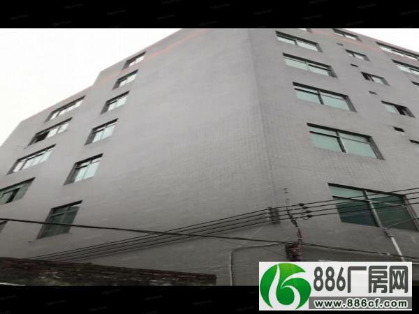 狮岭镇振兴村双龙独栋电梯厂房分租3楼320平方米