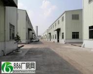 低价，珠吉，赢联工业园5000平7米高单一层钢构厂房出租