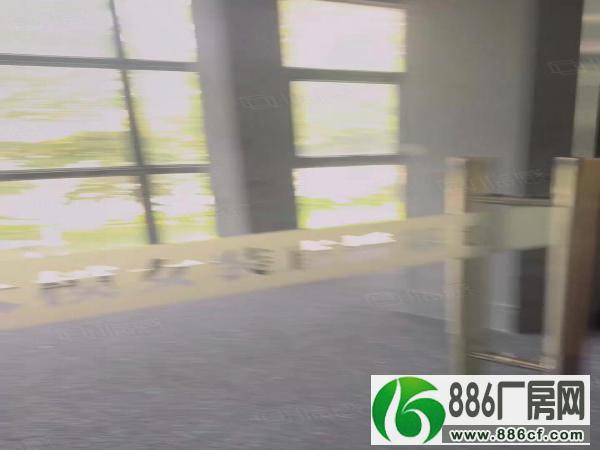 新塘原房东直播间办公室实量面积460平地铁50米