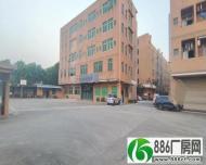 新塘原房东荔新公路边独栋厂房，单层面积900平方，可分租