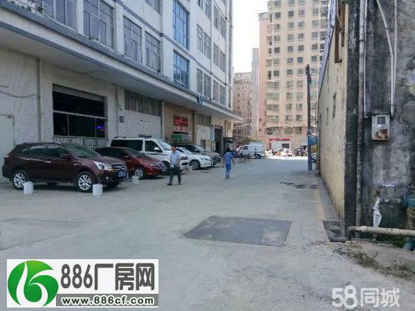 
新塘南埔村一楼450平带装修办公室厂房出租

