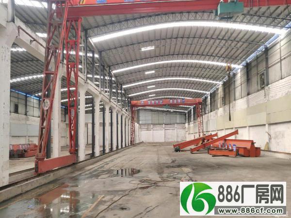 
广州新塘镇新出钢结构厂房出租7500平方高度12米

