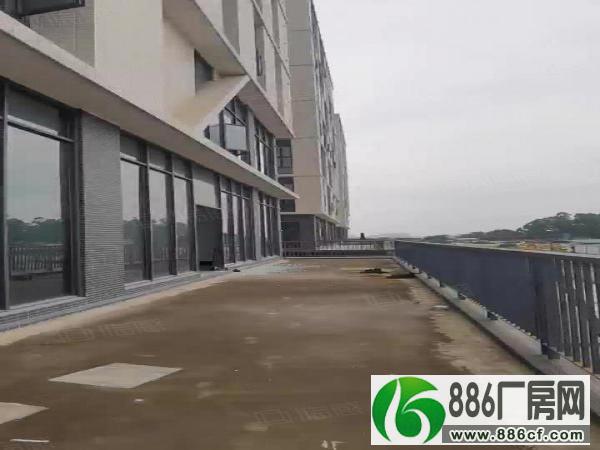 
番禺南村全新标准厂房楼上1200平米出租有消防喷淋地坪漆装修


