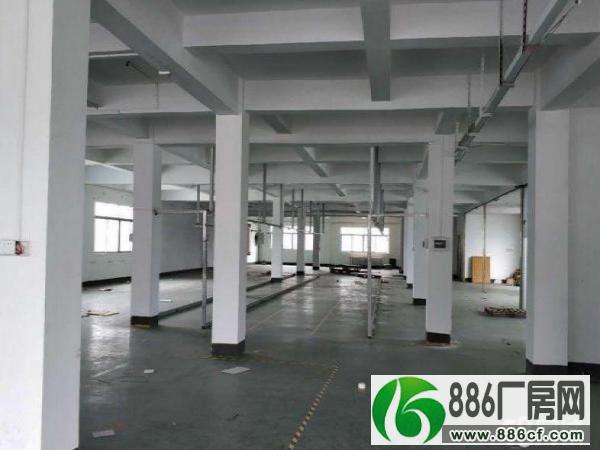 		惠阳新墟标准厂房3楼1100平装修好厂房可分租	