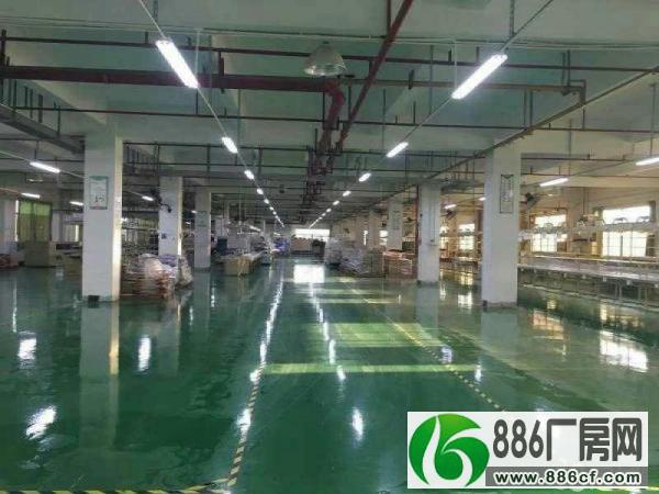 		惠东白花工业园标准厂房面积7560平车间地坪漆精装无尘车间	