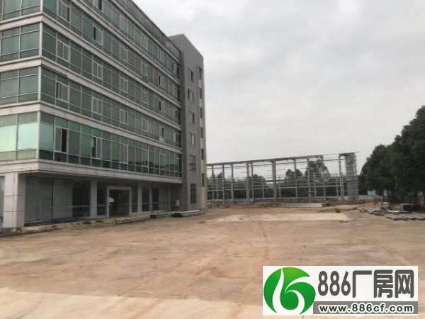 		惠州市博罗县全新10米钢构厂房出租	