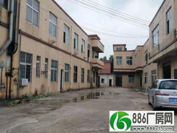 陈江石圳村（可分租）独院厂房3850方出租