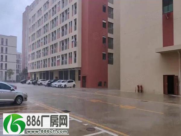 惠州2万平原房东厂房，无公摊。可实地测量。小面积分租500