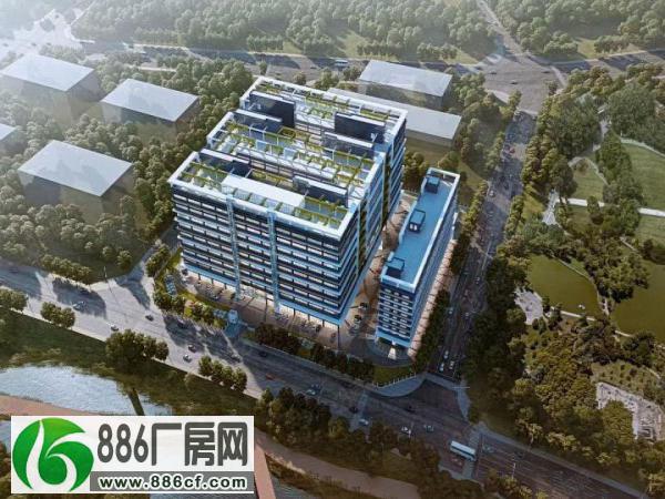 （厂房低价出租）惠阳沥林全新13.5万平方12块连廊厂房