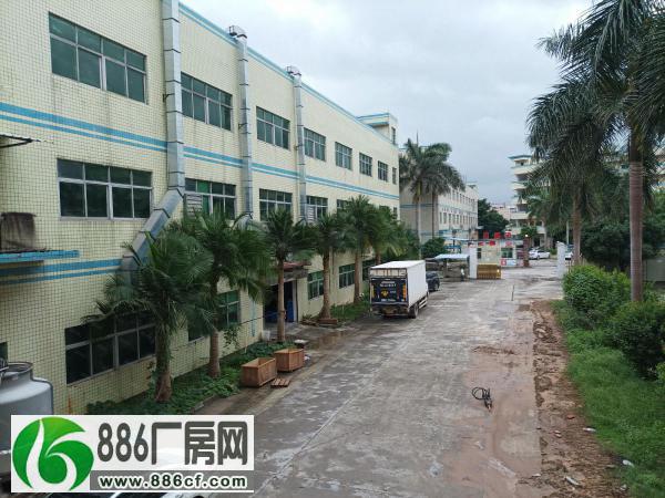 陈江标准厂房3400平方有装修可分租